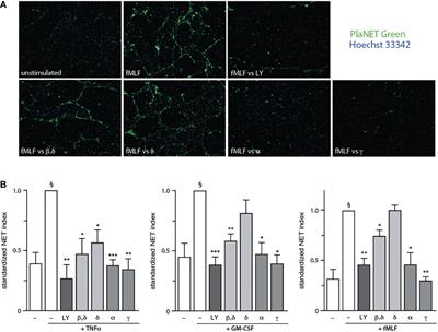 Phosphoinositol 3-kinase-driven NET formation involves different isoforms and signaling partners depending on the stimulus